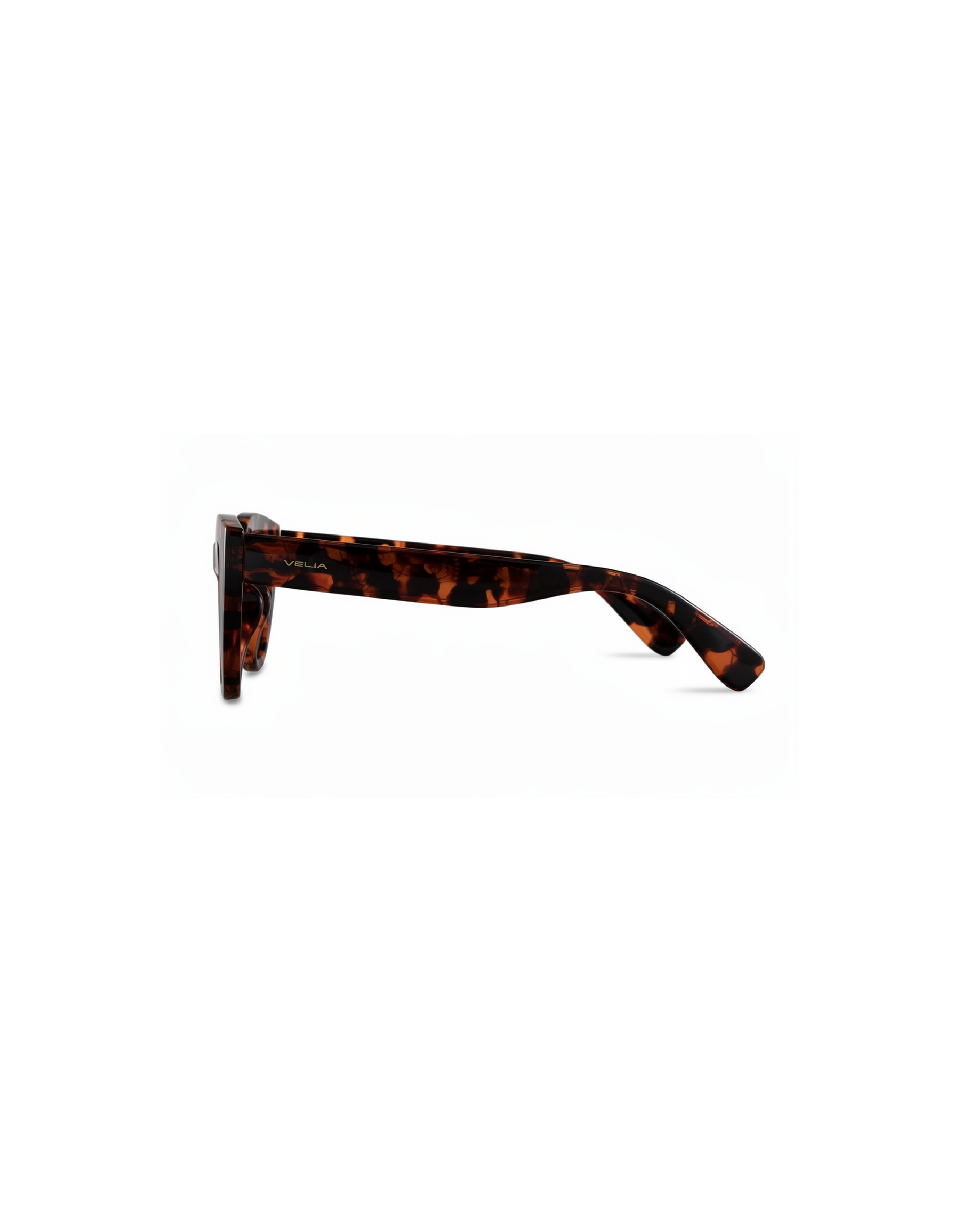 #color_Tortoise Shell