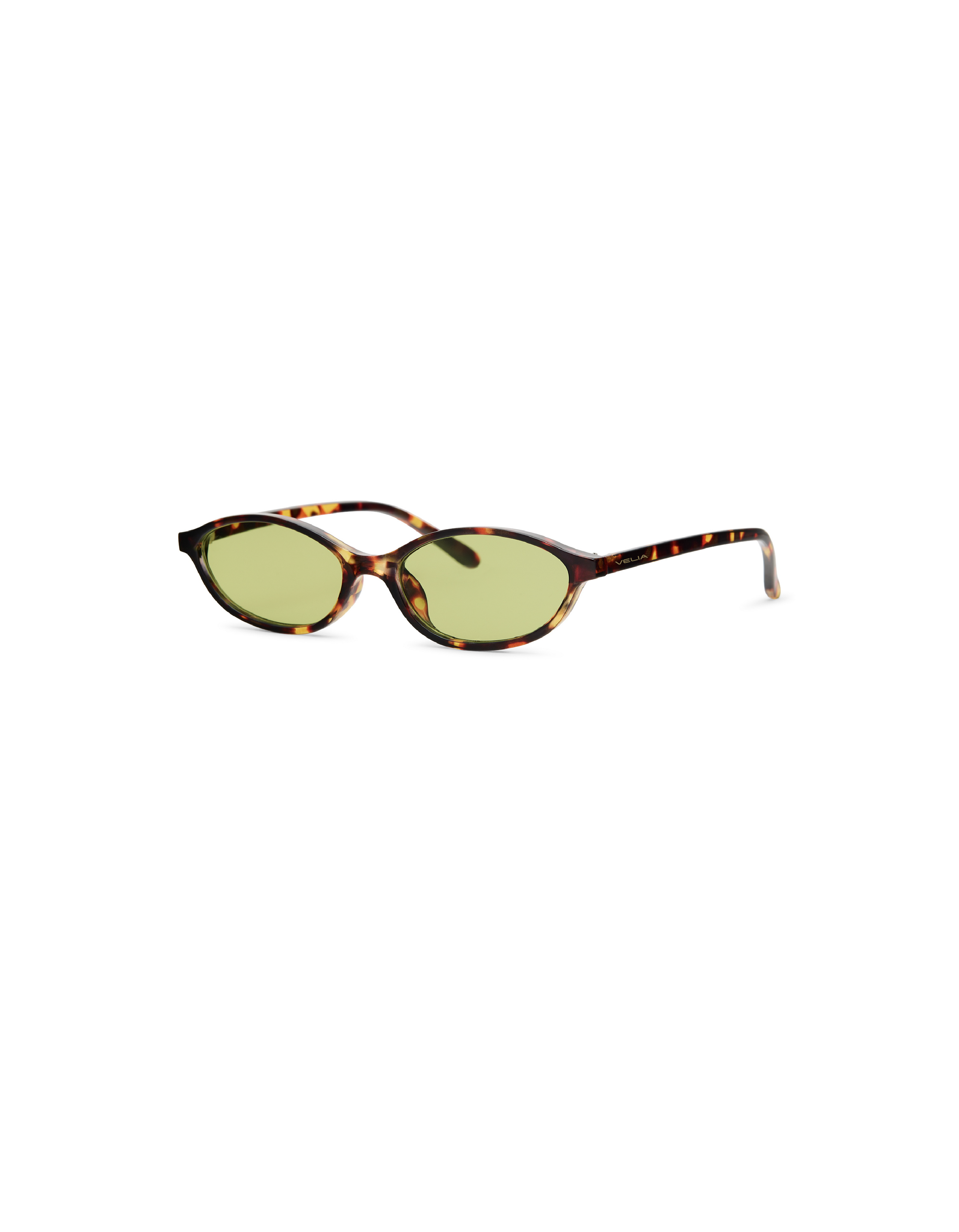 #color_Safari Green
