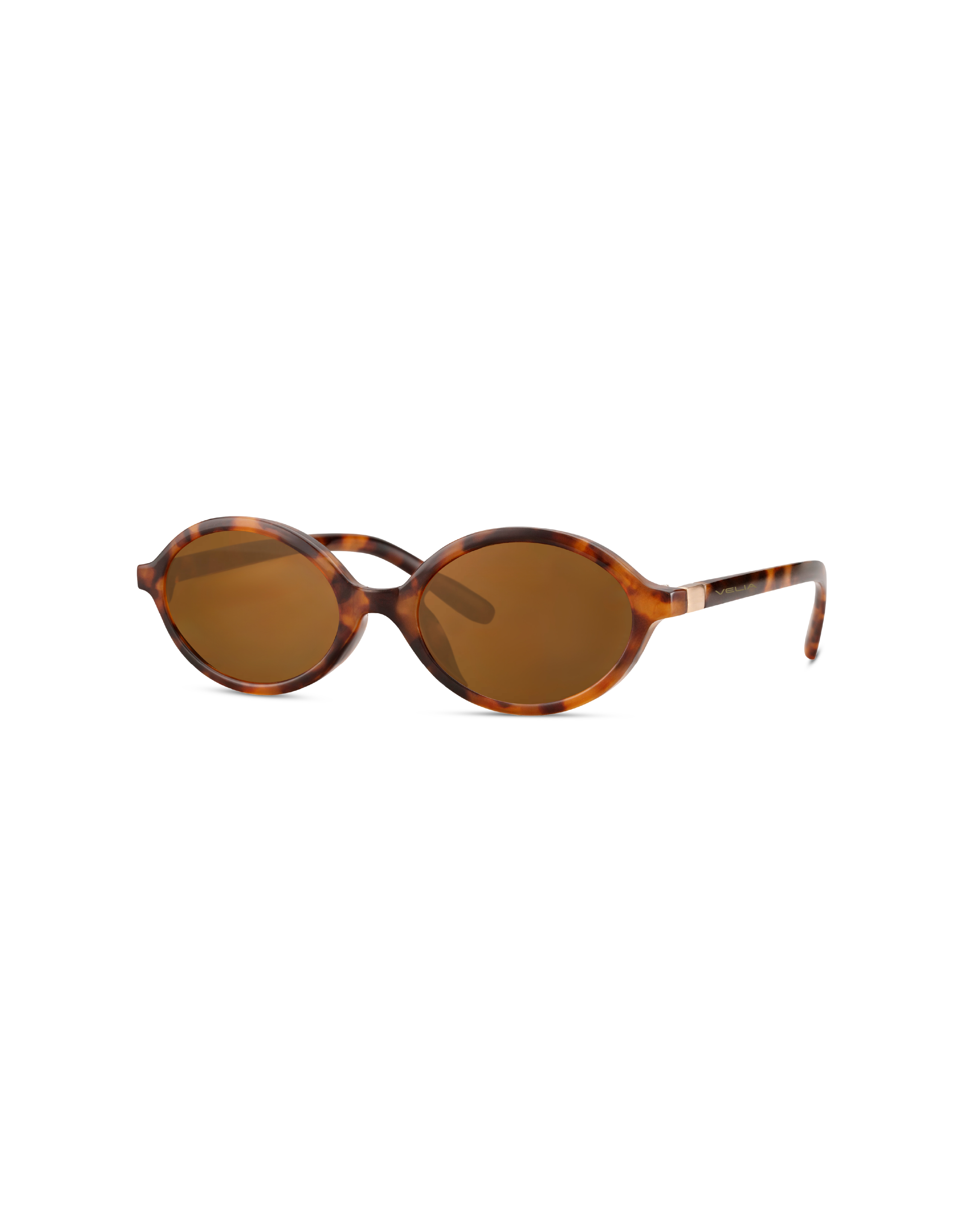 #color_Tortoise
