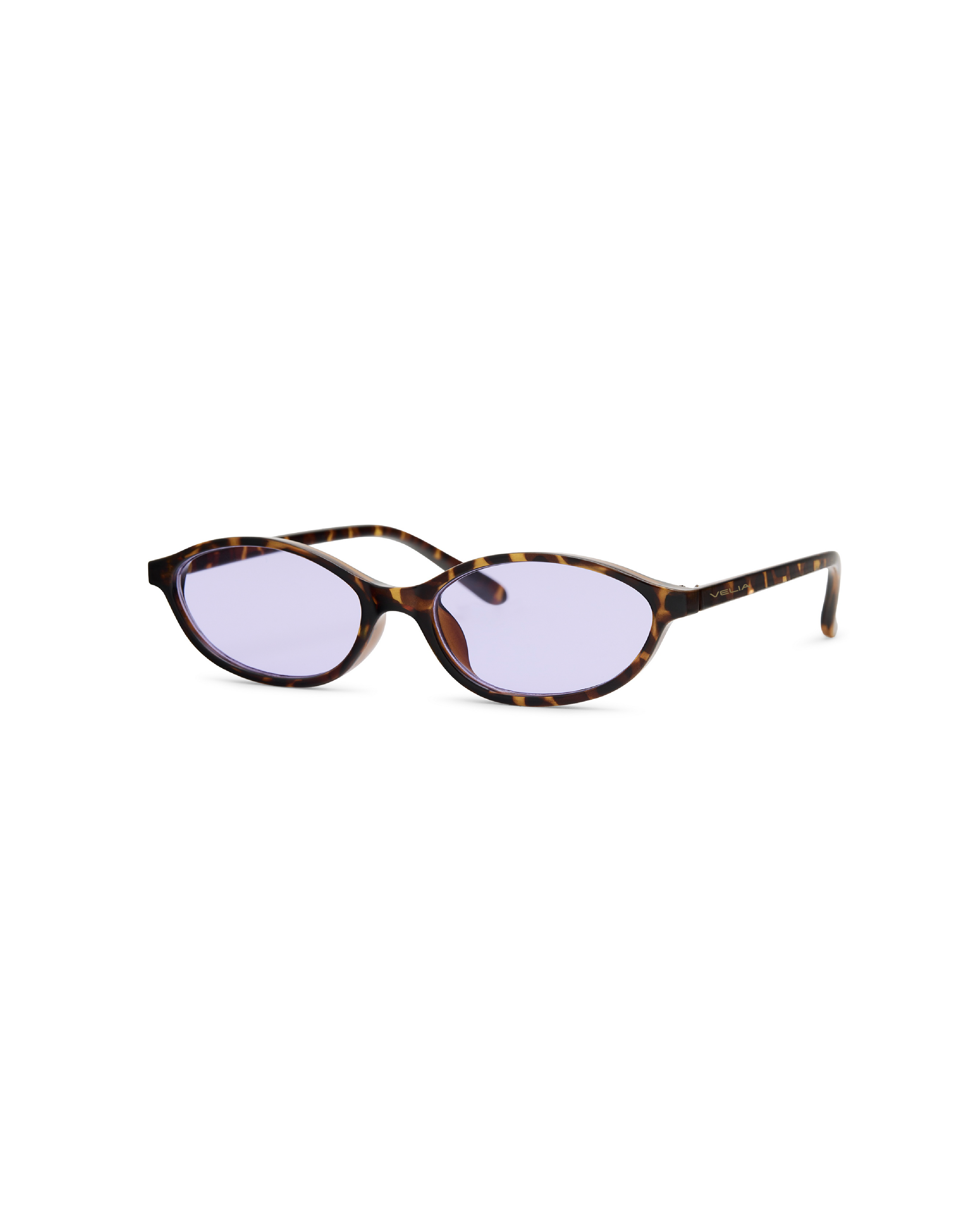 #color_Violet Tortoise