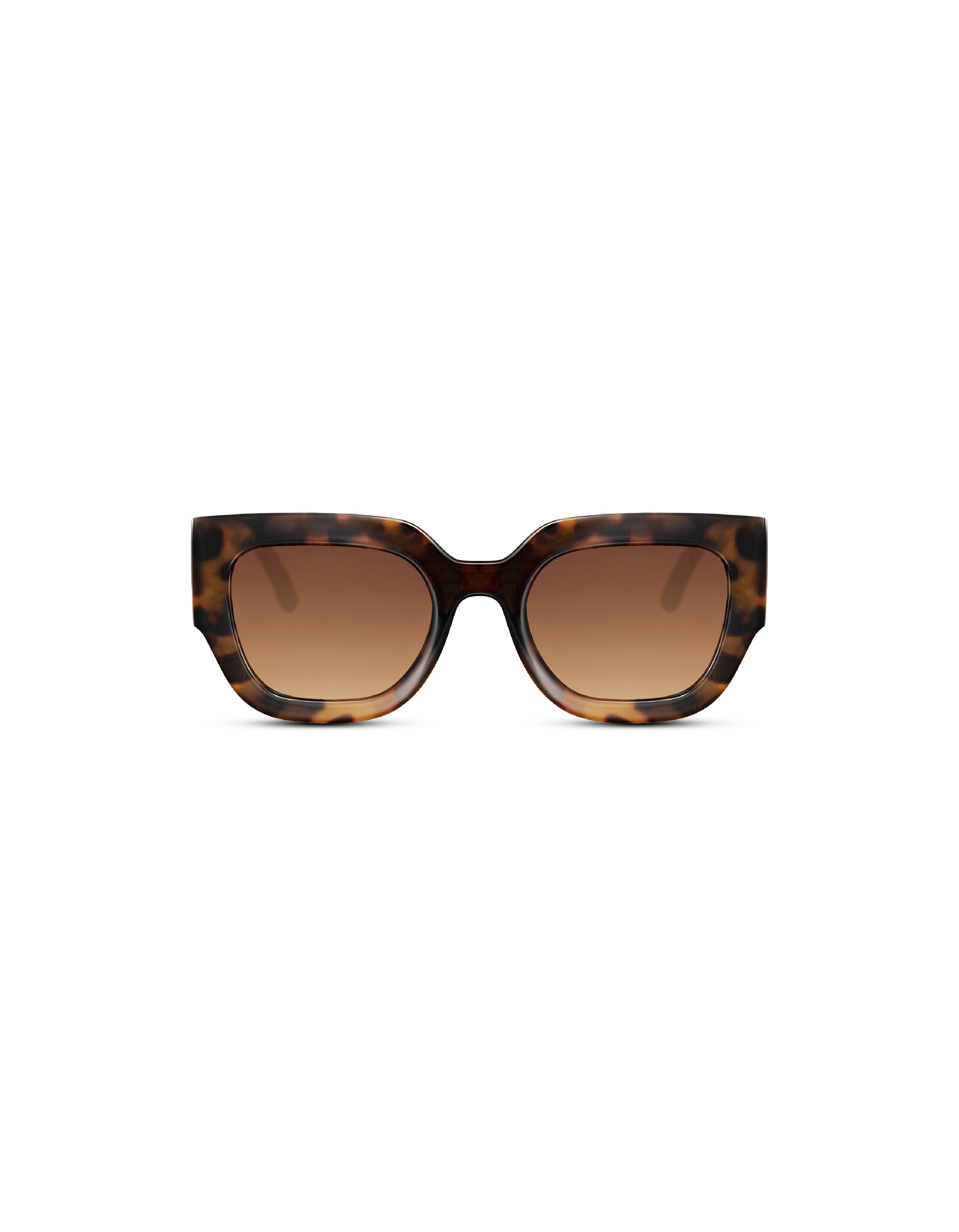 #color_Tortoise
